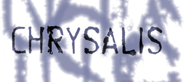 Chrysalis 2017 Image