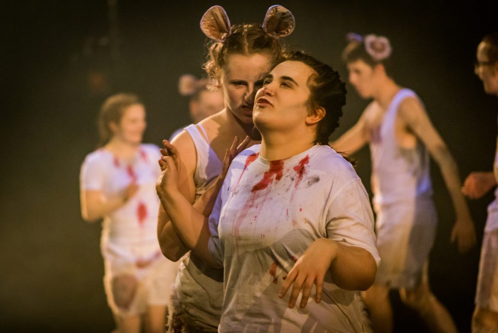 Chrysalis 2017 8 Firefly Arts Dark Mechanics Thu 16 November 2017 Traverse Theatre Edinburgh photographer Andy Catlin • www.andycatlin.com 3063